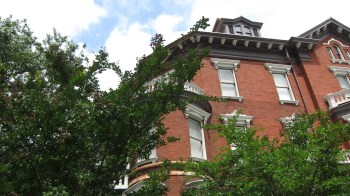 Savannah 10 - Copy - Copy - Copy