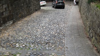 Savannah 17 - Copy - Copy - Copy