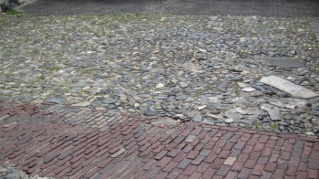 Savannah 18 - Copy - Copy - Copy