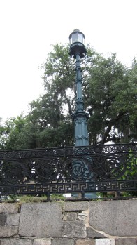 Savannah 19 - Copy (2) - Copy