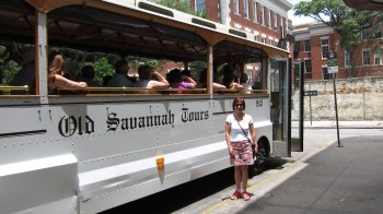 Savannah 20 - Copy (2) - Copy