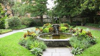 Savannah 25 - Copy - Copy