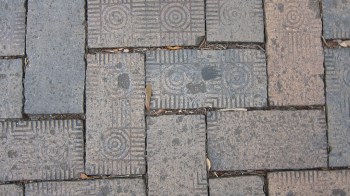 Savannah 26 - Copy - Copy