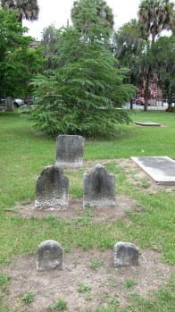 Savannah 30 - Copy - Copy