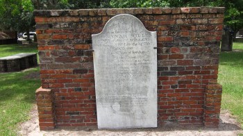 Savannah 31 - Copy (2)