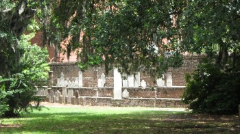 Savannah 33 - Copy (2)