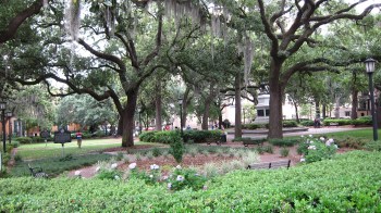 One of the 22 remaining city squares in Savannah, Georgia