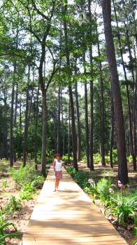 University Arboretum 