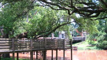 Walkway at Beaux Bridge 