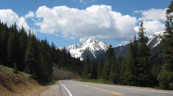 IMG_1234 - Copy - Copy - Copy