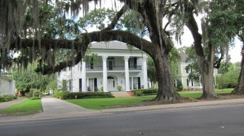 New Iberia close to the library