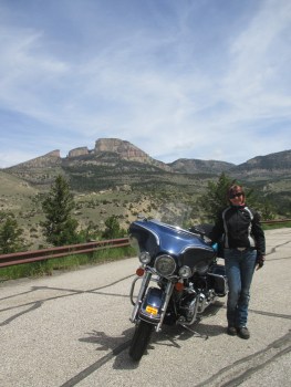 Big Horn National Forest