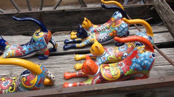 Emma will be jealous if she finds out I'm photographing other felines! 