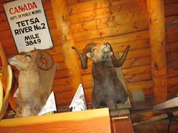 Nice curls on this one!