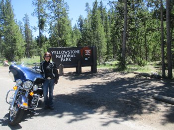 Welcome to Yellowstone Park!