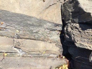 There are amazing rocks along the shoreline at Transfer Beach in Ladysmith