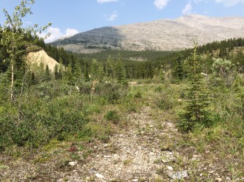 This is the location where our house was when we lived in Stone Mountain Park.  The buildings were moved out of the park a number of years ago