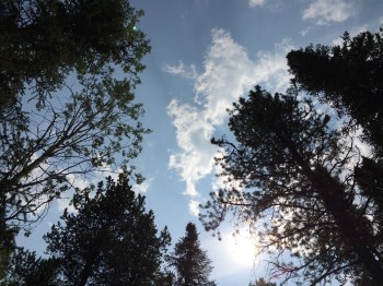 The view from my Dad's resting place