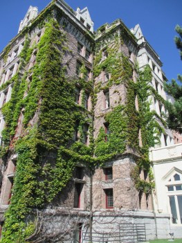 A little of the greenery in the "Garden City"