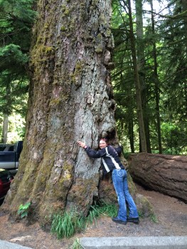 I'm a tree hugger at heart