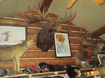 Great northern decor - a real cutie :) 