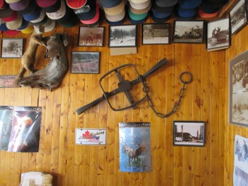 Now that's one big trap...ouch!