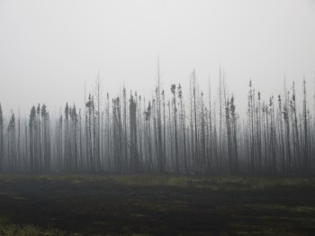 The aftermath of the forest fire that shut down the highway