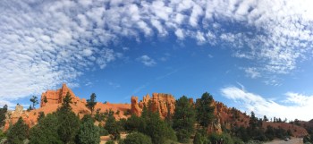 This is what I saw when I came around the corner when I entered Red Canyon - and it continued to get more spectacular as I went along - just wait until you see some of the photos and video from the rest of my visit to Utah!