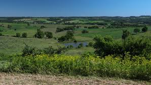 The ride through Illinois was expansive and it seems to stretch out ahead of me for miles and mile and miles