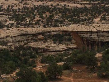 This is the oldest and the most delicate of the Natural Bridges located at the Natural Bridges National Memorial Park on Highway 95.  The river that formed the bridge has long since changed its course and is now many miles away from here