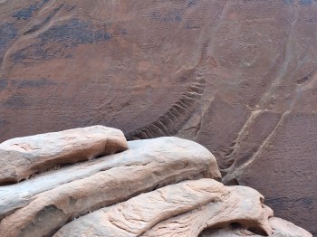 This looks like a dinosaur was dong a little tail painting :)