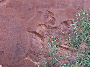 I found more dinosaur art work in one of the stone walls