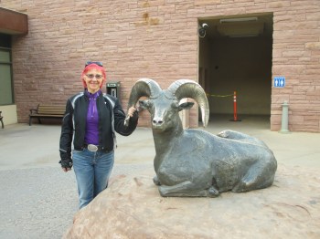 I've got a sheep by the horns :)
