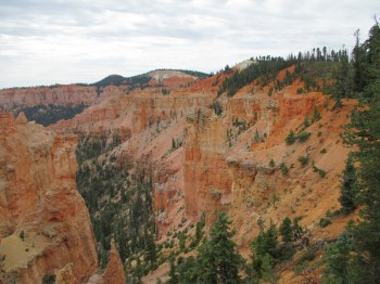 Black Birch Canyon  is one of the many outlooks  in the Bryce Canyon National Park