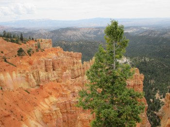 Ponderosa Point in Bryce Canyon